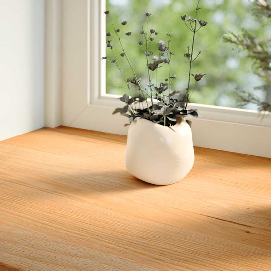 Vidaxl vensterbanken 2 st 120x25x2 cm massief eikenhout
