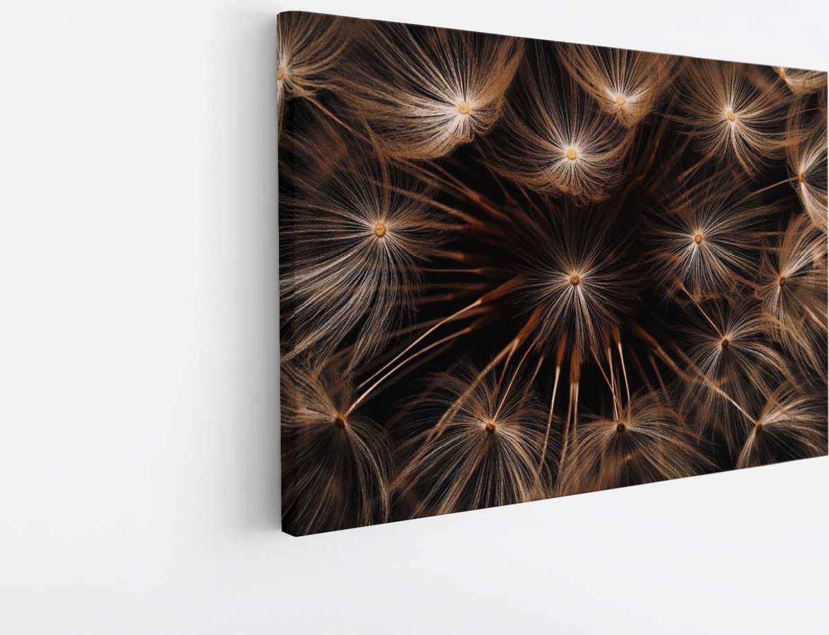 Saammp Canvas Schilderij - Close-up paardenbloem - Bloemen - Natuur - Abstract - 150x100 - Foto op canvas - Wanddecoratie - Muurdecoratie Woonkamer - Kantoor Decoratie Multicolor