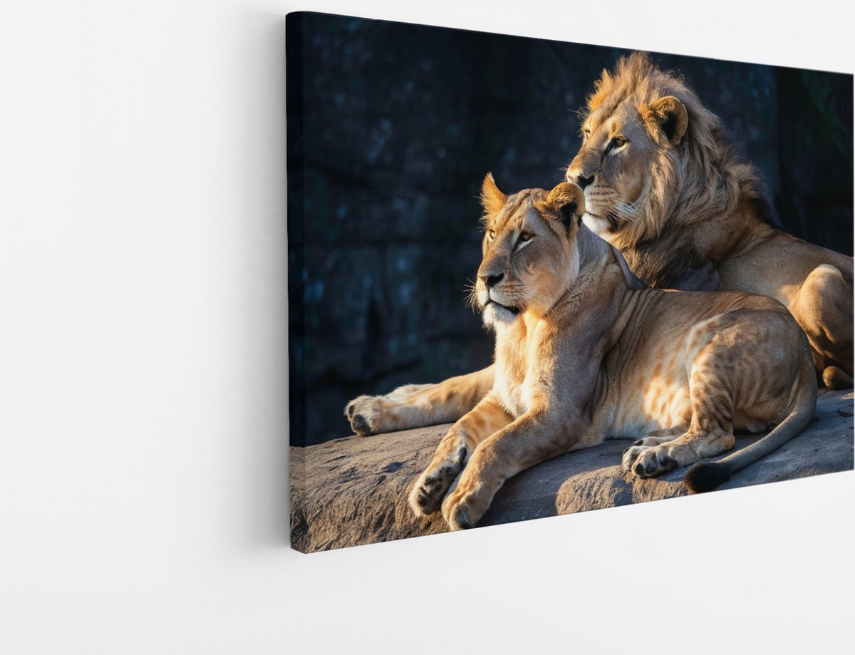 Saammp Canvas Schilderij - Leeuw en Leeuwin op steen- Dieren - Natuur - 70x50 - Foto op canvas - Wanddecoratie - Muurdecoratie Woonkamer - Slaapkamer decoratie - Canvas Print Multicolor