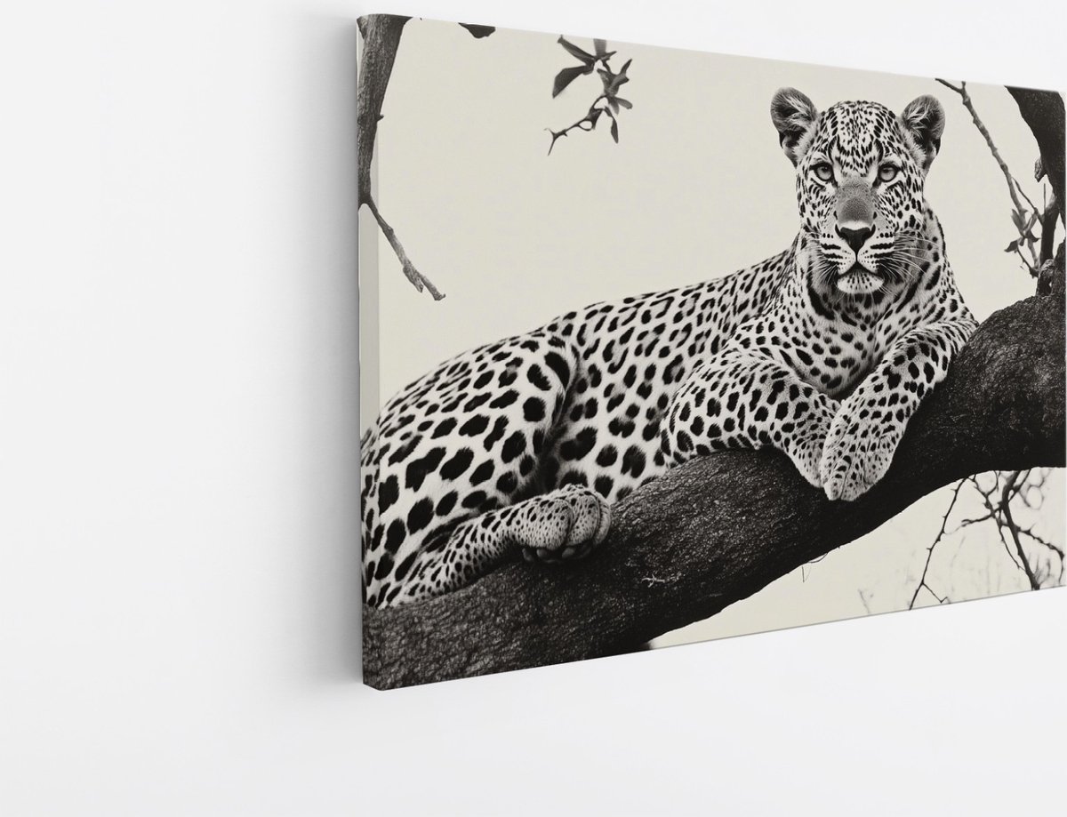 Saammp Canvas Schilderij - panter op boom in zonsondergang - Natuur - Dieren - 120x80 - Foto op canvas - Wanddecoratie - Muurdecoratie Woonkamer - Slaapkamer decoratie - Canvas Print Multicolor