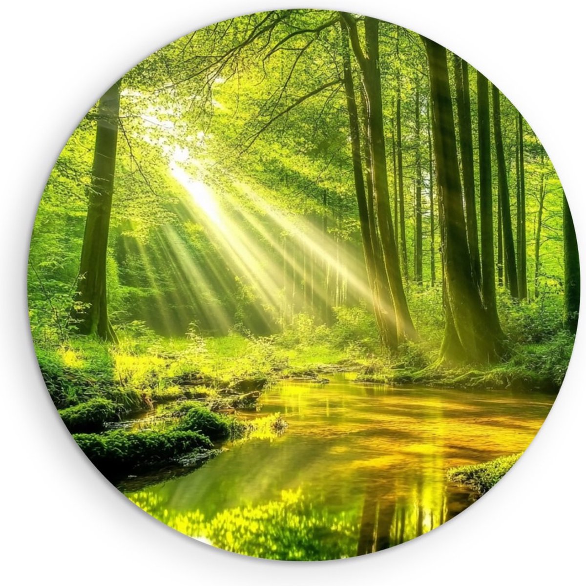 Saammp Forex Muurcirkel - Moerras - Zon - Landschap - Natuur - Ø 60 - Wandcirkel - Wanddecoratie Cirkel - Muurdecoratie Woonkamer - Slaapkamer decoratie - Rond Schilderij