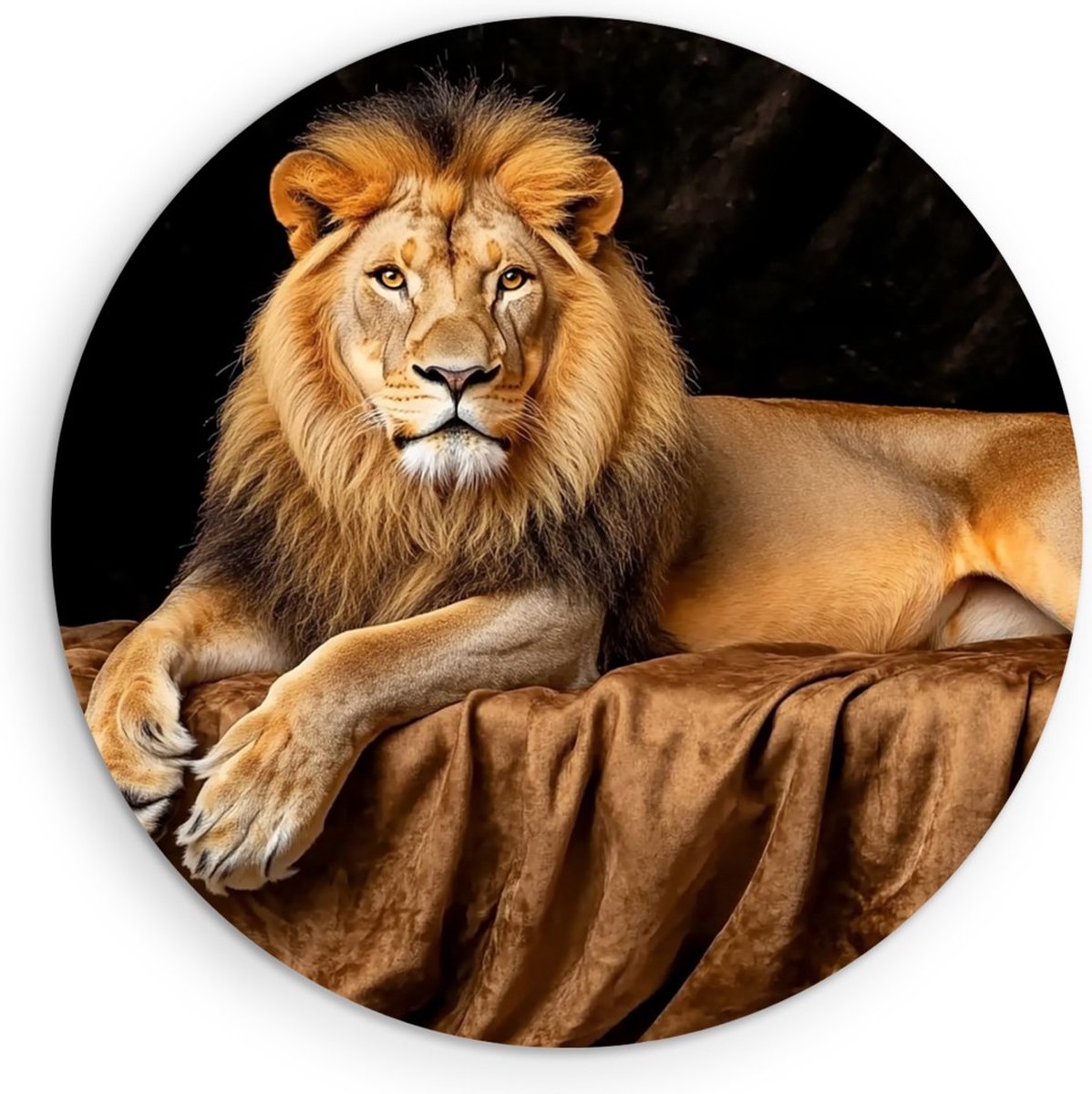 Saammp Forex Muurcirkel - Leeuw op deken - Kunst - Dieren - Abstract - Ø 50 - Wandcirkel - Wanddecoratie Cirkel - Muurdecoratie Woonkamer - Slaapkamer decoratie - Rond Schilderij