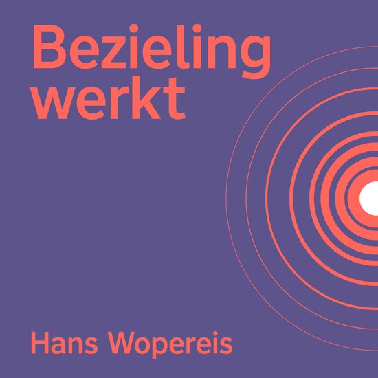 Bezieling werkt - cover