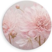 Saammp Muurcirkel Hout - Kunst - Roze Bloemen - Natuur - Abstract - Ø 80 - Wandcirkel - Wanddecoratie Cirkel - Muurdecoratie Woonkamer - Kantoor Decoratie