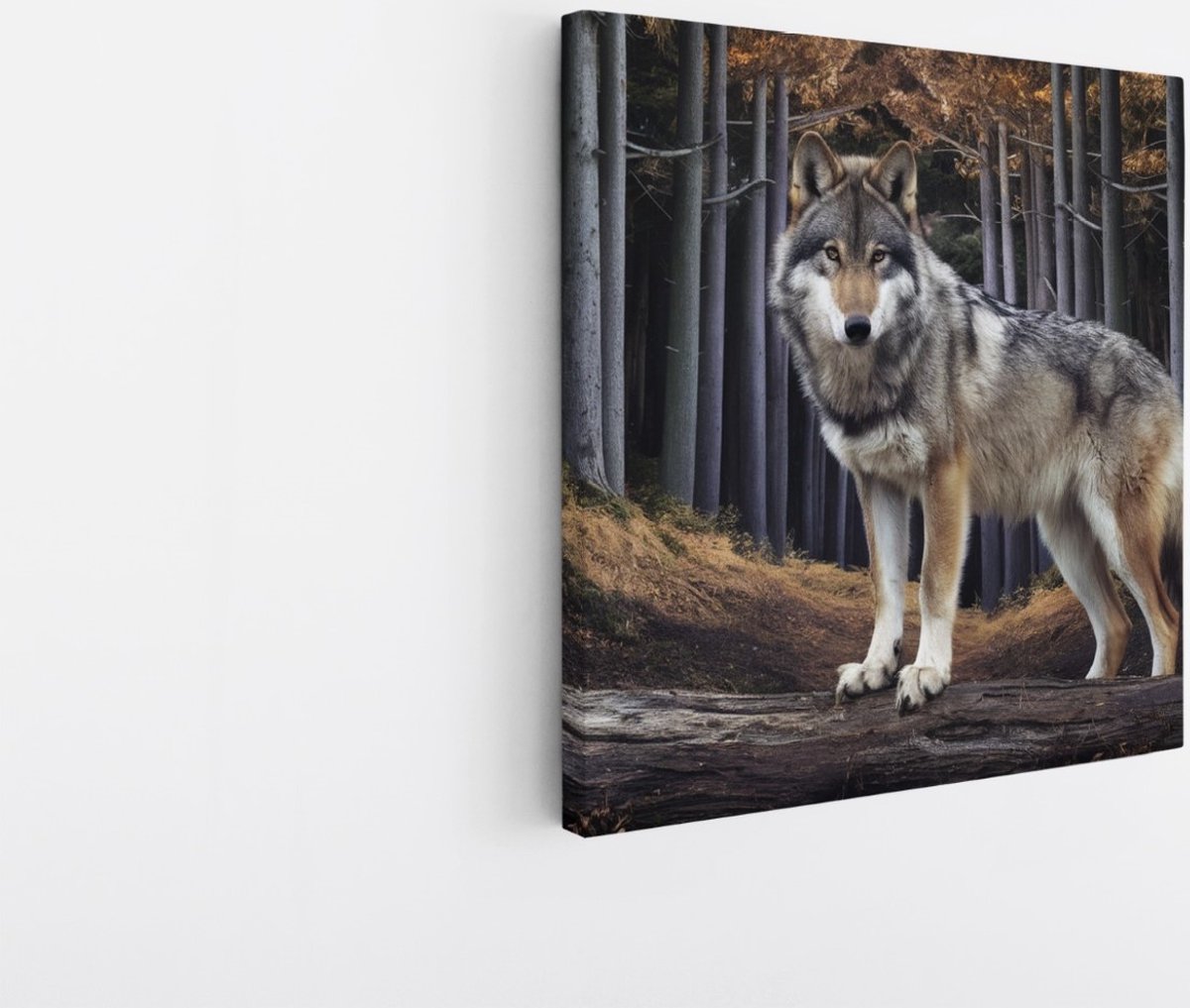 Saammp Canvas Schilderij - Wolf in het bos - Dieren - Natuur - 100x100 - Foto op canvas - Wanddecoratie - muurdecoratie Woonkamer - Slaapkamer decoratie - Canvas Print Multicolor