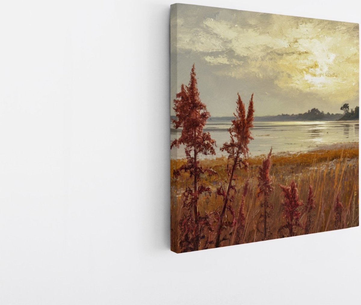 Saammp Canvas Schilderij - Abstract - botanisch - Landschap - Natuur - 40x40 - Foto op canvas - Wanddecoratie - Muurdecoratie Woonkamer - Slaapkamer decoratie - Canvas Print Multicolor