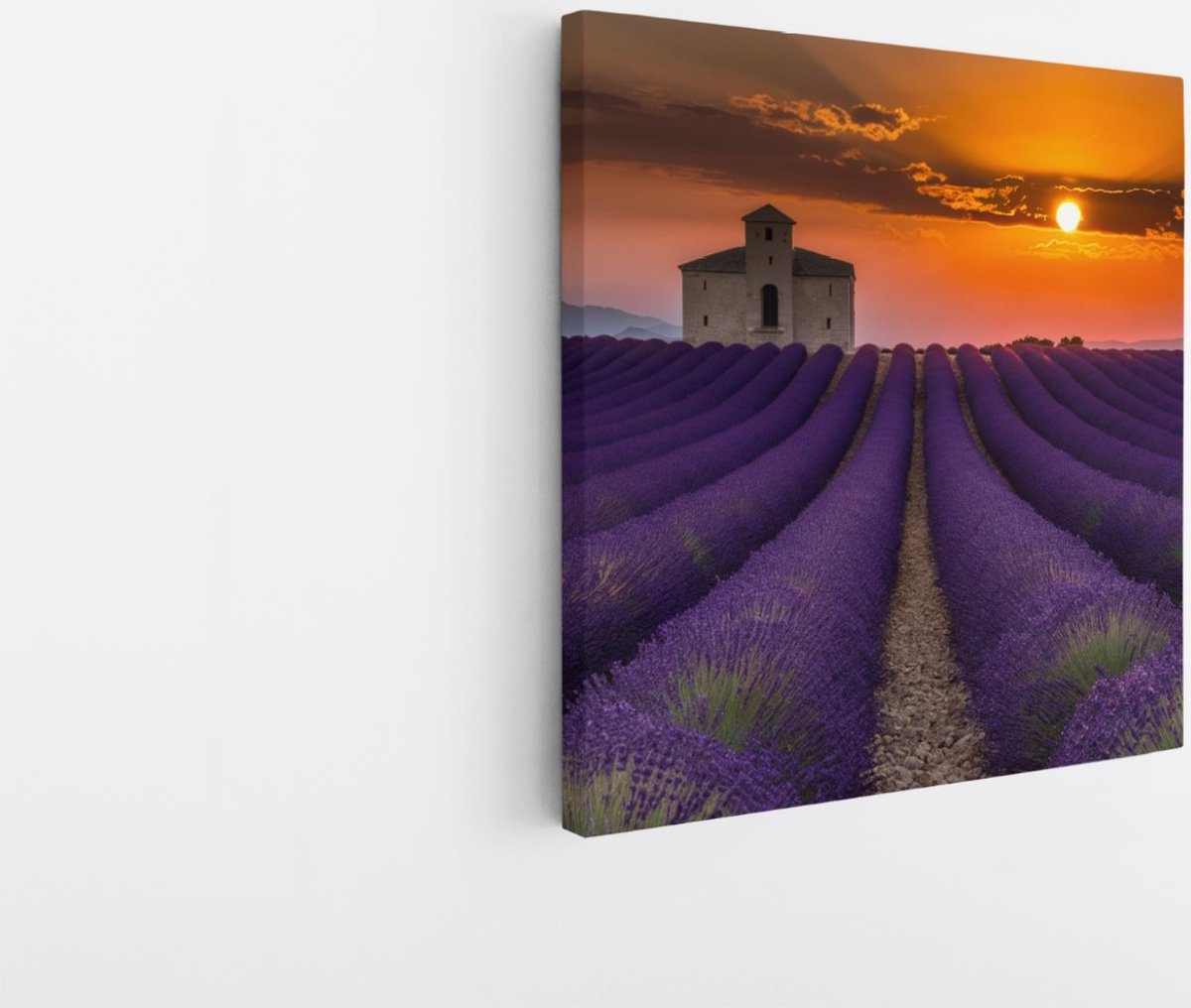 Saammp Canvas Schilderij - Lavendelveld met huis - Natuur - Landschap - 40x40 - Foto op canvas - Wanddecoratie - Muurdecoratie Woonkamer - Slaapkamer decoratie - Canvas Print Multicolor