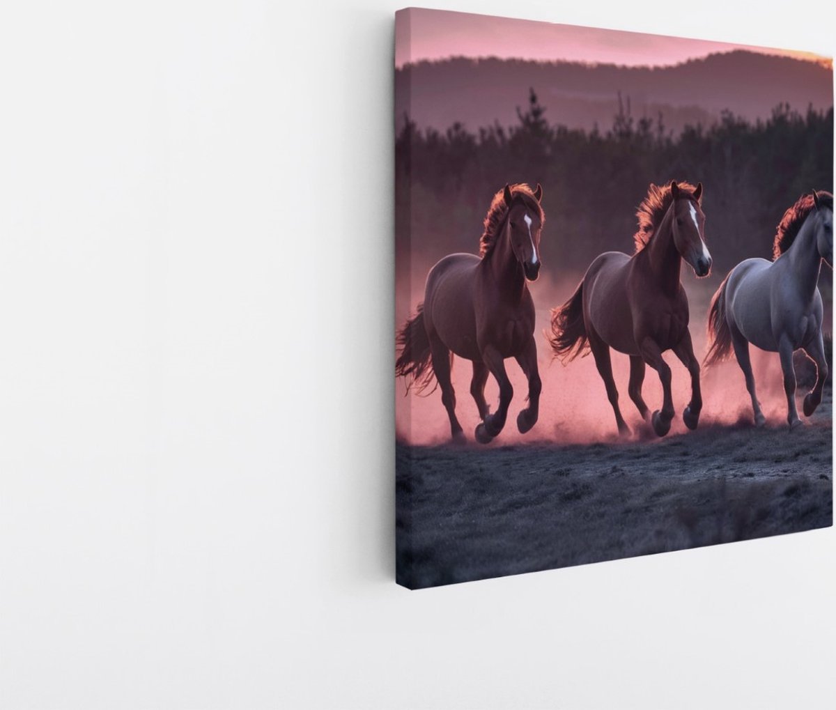 Saammp Canvas Schilderij - Paarden in zonsondergang - Natuur - Dieren - 30x30 - Foto op canvas - Wanddecoratie - Muurdecoratie Woonkamer - Slaapkamer decoratie - Canvas Print Multicolor