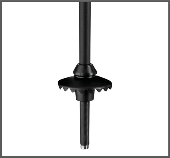 LEKI - bliss - Bâtons de ski homme - Wit- Multicolore