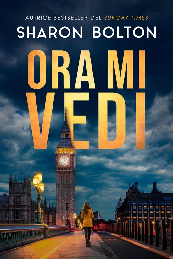 Lacey Flint 1 - Ora mi vedi - cover