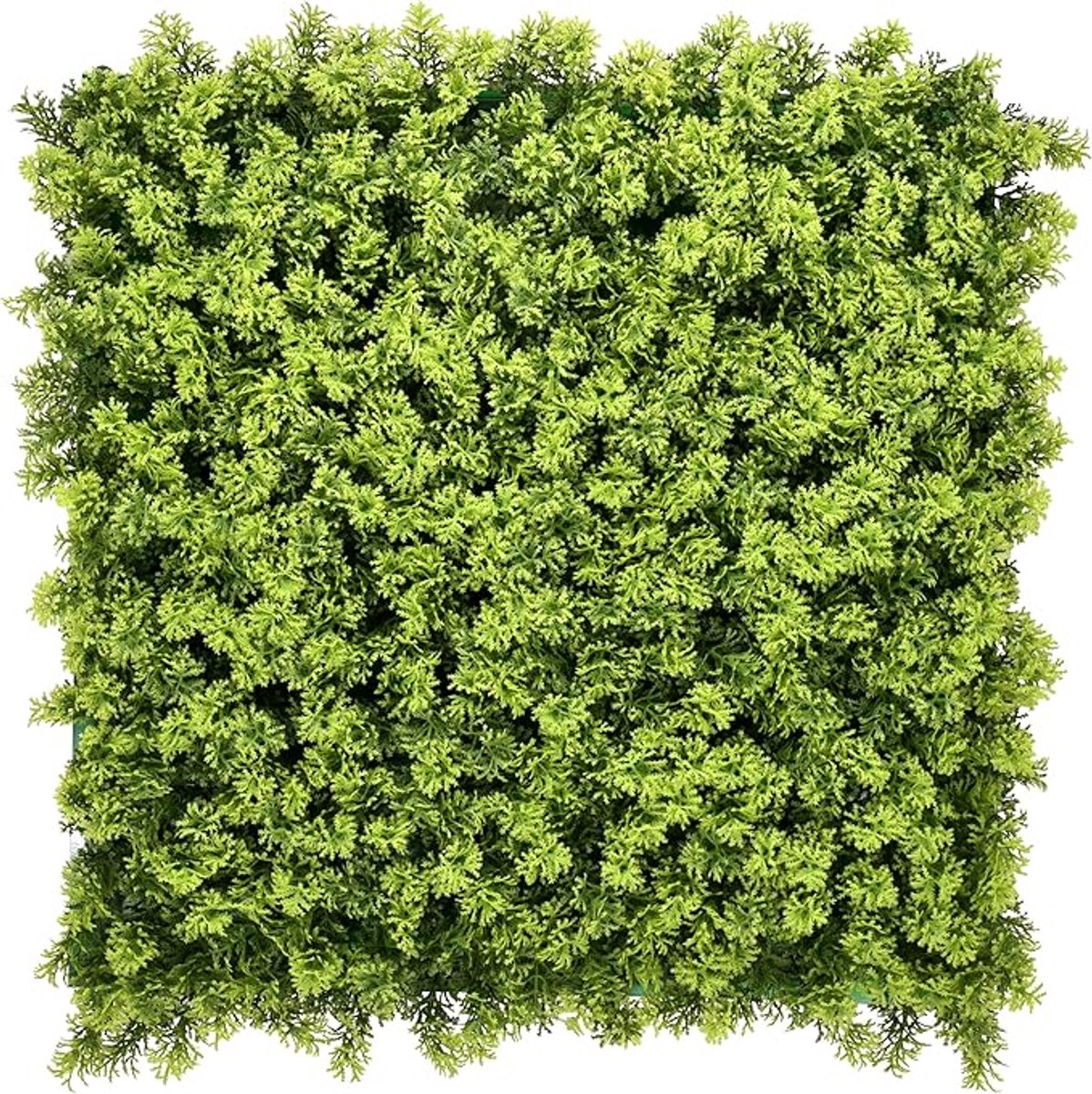 FLOORDIREKT Plantenwand - Houttuynia-cordata - Kunstplant - Kunsthaag - Decoratie - 50 x 5