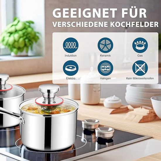 Royal Line® FS2M Casseroles en inox Induction - Casserole avec couvercle en silicone