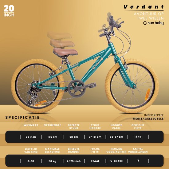 Vélo pour enfants Verdant Bike pour garçons, 20 pouces vert, taille de roue sélectionnable parmi 6 vitesses Shimano de 6 à 10 ans, réglable en hauteur