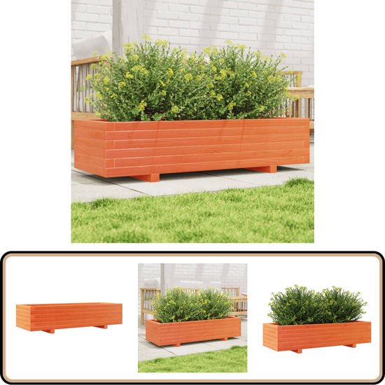 ADEZZ - Cortenstaal plantenbak ELLIPSE - 200x120x40 cm