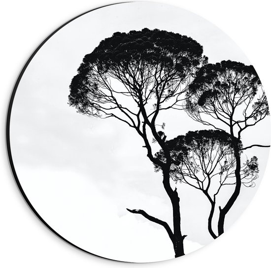 Dibond Muurcirkel - Zwarte Bomen bij de Witte Lucht - 20x20 cm Foto op Aluminium Muurcirkel (met ophangsysteem)