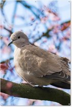 Muurdecoratie Vogel - Bloemen - Duif - Bloesem takken - Roze - 120x180 cm - Tuinposter - Tuindoek - Buitenposter