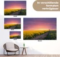 Afbeelding nummer  9