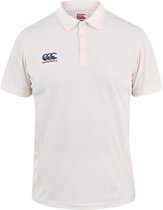 Cricket Shirt Senior Cream - L