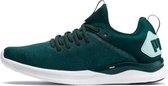 Puma Ignite Flash EvoKNIT SR Wm's groen sneakers dames (192457-01)