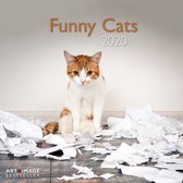 Funny Cats Kalender 2020 incl. jaarposter