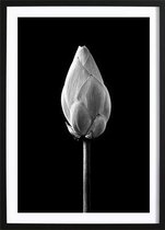 Lotus Bud Black Poster (21x29,7cm) - Wallified - Natuur - Landschap - Zee - Poster - Print - Wall-Art - Woondecoratie - Kunst - Posters