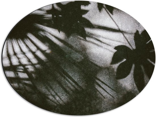 Dibond Ovaal - Schaduw van Grote Bladeren op Stenen - 56x42 cm Foto op Ovaal (Met Ophangsysteem)