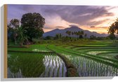 Hout - Rijstvelden Vol met Water in Indonesië - 60x40 cm - 9 mm dik - Foto op Hout (Met Ophangsysteem)