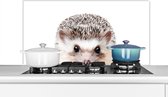 Spatscherm keuken 100x50 cm - Kookplaat achterwand Egel - Dieren - Natuur - Wit - Muurbeschermer - Spatwand fornuis - Hoogwaardig aluminium