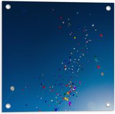 Tuinposter – Lucht Vol Gekleurde Ballonnen - 50x50 cm Foto op Tuinposter (wanddecoratie voor buiten en binnen)