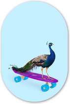 Muurovaal - Wandovaal - Kunststof Wanddecoratie - Ovalen Schilderij - Pauw - Blauw - Skateboard - Dieren - Grappig - 40x60 cm - Ovale spiegel vorm op kunststof