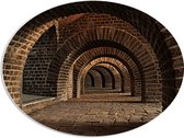 PVC Schuimplaat Ovaal - Tunnel met Bogen - 68x51 cm Foto op Ovaal (Met Ophangsysteem)
