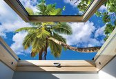 Fotobehang - Vlies Behang - 3D Uitzicht op de palmboom vanuit het dakraam - 208 x 146 cm