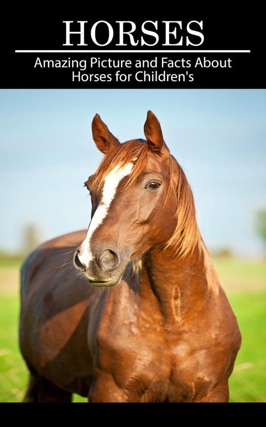 Horses Amazing Picture and Facts About Horses for Children's (ebook