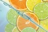 Fotobehang - Vlies Behang - Sinaasappels - Limoenen - Citroenen - Fruit - 208 x 146 cm