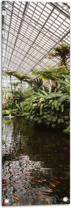 Tuinposter – Vissen in een Vijver - Chicago - 30x90 cm Foto op Tuinposter (wanddecoratie voor buiten en binnen)