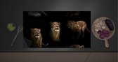 Inductie Beschermer - Collage van Leeuw in Verschillende Posities - 90x52 cm - 2 mm Dik - Inductieplaat Beschermer met zwarte kern
