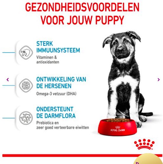 worstelen Onderscheppen Spanning Royal canin maxi puppy - Default Title | bol.com