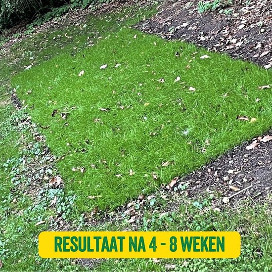 Schaduw- en droogtebestendig graszaad 10 kg | Sowgood – Mulder Retail B.V