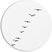 Dibond Muurcirkel - Wegtrekkende Vogels in Witkleurige Lucht - 60x60 cm Foto op Aluminium Muurcirkel (met ophangsysteem)