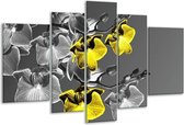 Peinture sur verre d'orchidée | Noir, jaune, gris | 170x100cm 5 Liège | Tirage photo sur verre |  F002749