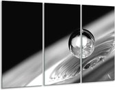 Glasschilderij Macro - Zwart, Grijs, Zilever - 120x80cm 3Luik - Foto Op Glas - Geen Acrylglas Schilderij - GroepArt 6000+ Glas Art Collectie - Maatwerk Mogelijk