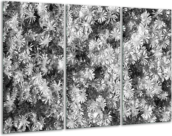 Glasschilderij Bloemen - Zwart, Wit, Grijs - 120x80cm 3Luik - Foto Op Glas - Geen Acrylglas Schilderij - GroepArt 6000+ Glas Art Collectie - Maatwerk Mogelijk