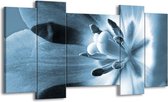 GroepArt - Schilderij - Bloem - Blauw - 120x65cm 5Luik - Foto Op Canvas - GroepArt 6000+ Schilderijen 0p Canvas Art Collectie - Wanddecoratie