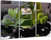 Glasschilderij Olijven - Groen, Zwart - 120x80cm 3Luik - Foto Op Glas - Geen Acrylglas Schilderij - GroepArt 6000+ Glas Art Collectie - Maatwerk Mogelijk