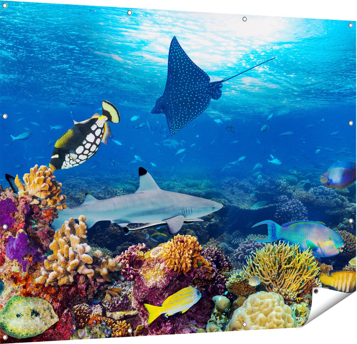 Gards Tuinposter Vissen met Koraalrif in de Oceaan - 150x120 cm - Tuindoek - Tuindecoratie - Wanddecoratie buiten - Tuinschilderij Multikleur
