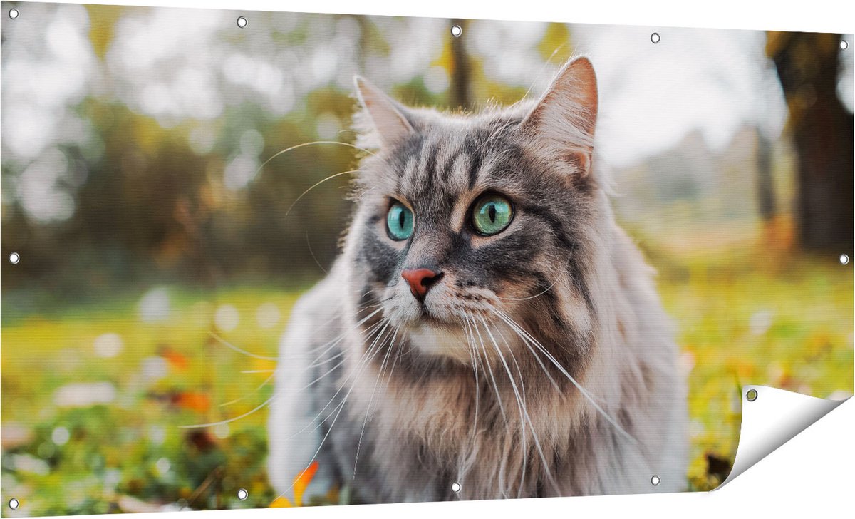 Gards Tuinposter Kat met Groene Ogen op het Gras - 160x80 cm - Tuindoek - Tuindecoratie - Wanddecoratie buiten - Tuinschilderij Multikleur