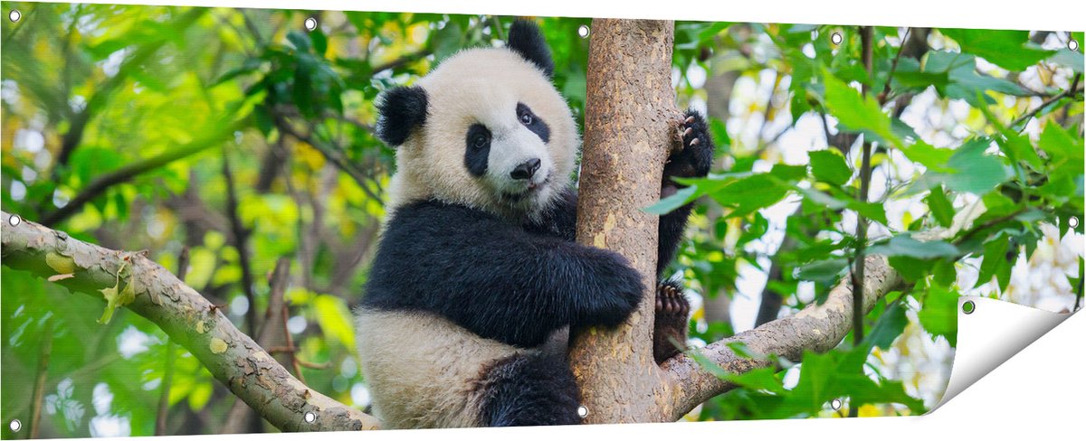 Gards Tuinposter Panda in de Bomen - 180x60 cm - Tuindoek - Tuindecoratie - Wanddecoratie buiten - Tuinschilderij Multikleur
