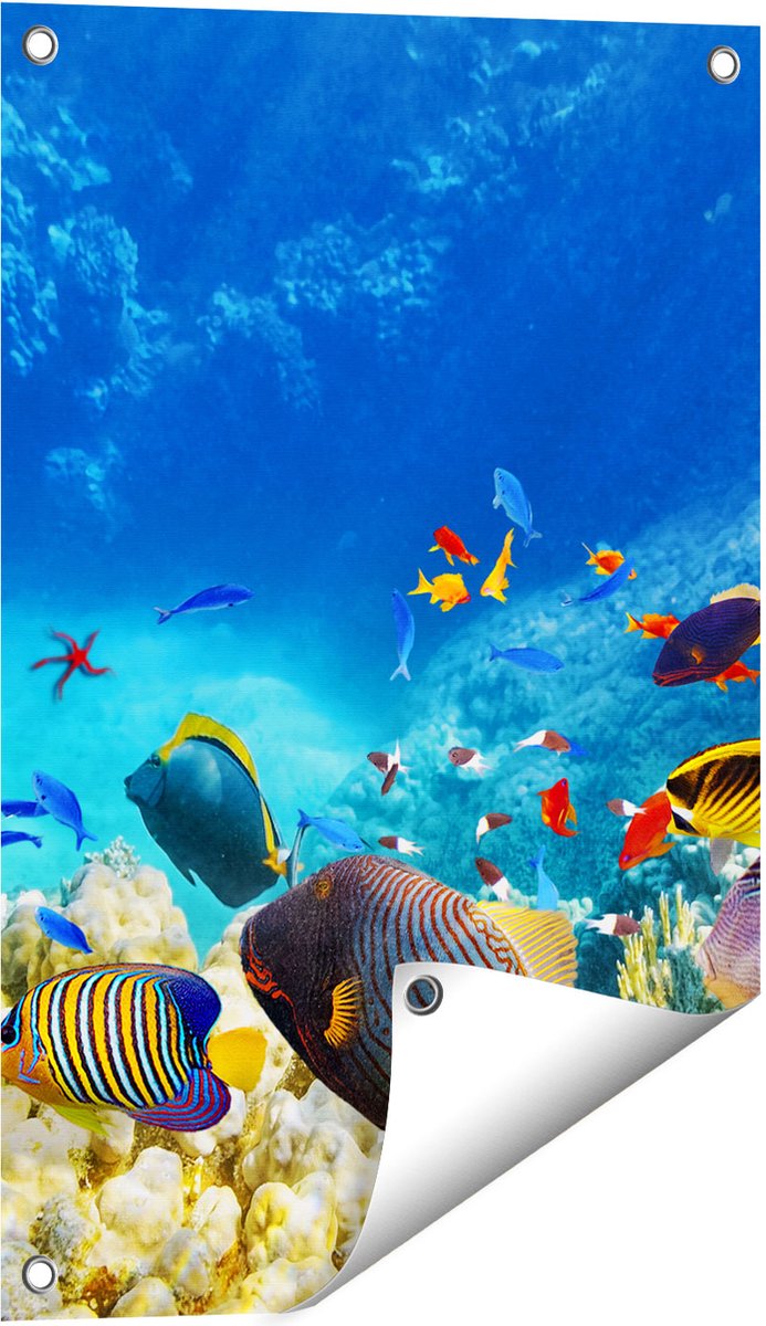 Gards Tuinposter Vissen in de Oceaan met Koralen - 40x60 cm - Tuindoek - Tuindecoratie - Wanddecoratie buiten - Tuinschilderij Multikleur