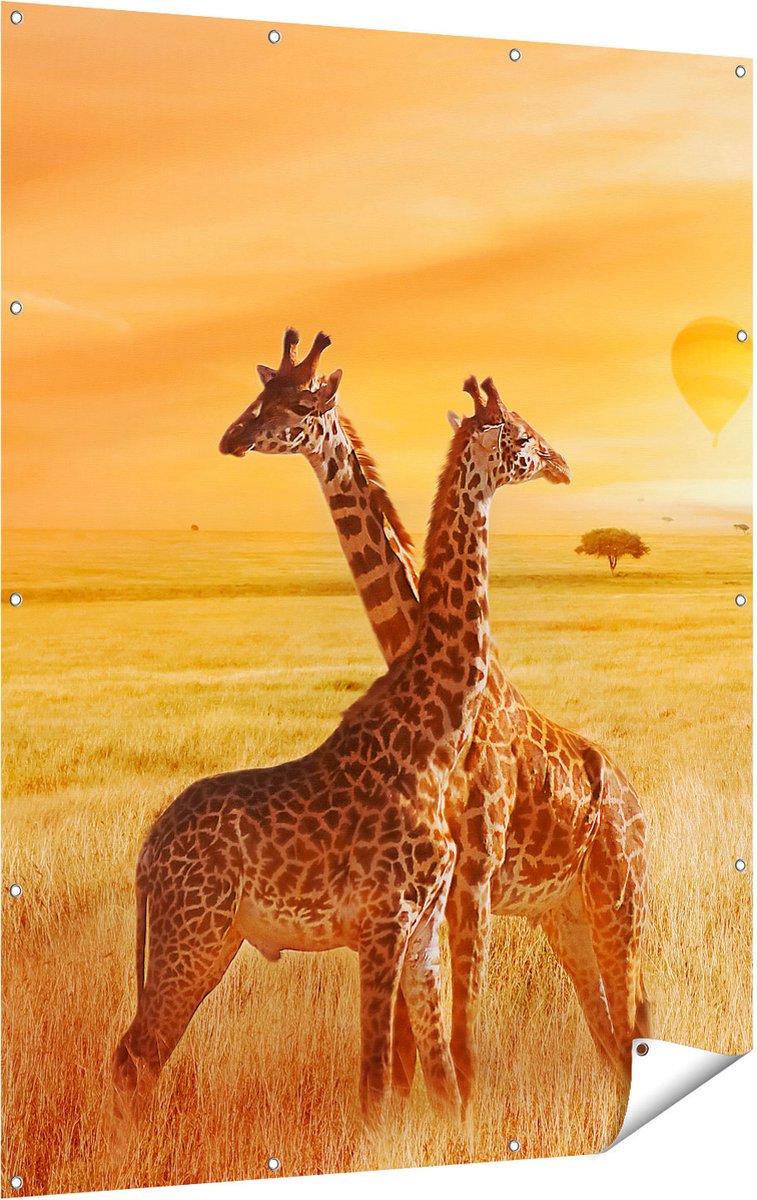 Gards Tuinposter Twee Giraffen met Twee Oranje Luchtballonnen - 120x160 cm - Tuindoek - Tuindecoratie - Wanddecoratie buiten - Tuinschilderij Multikleur