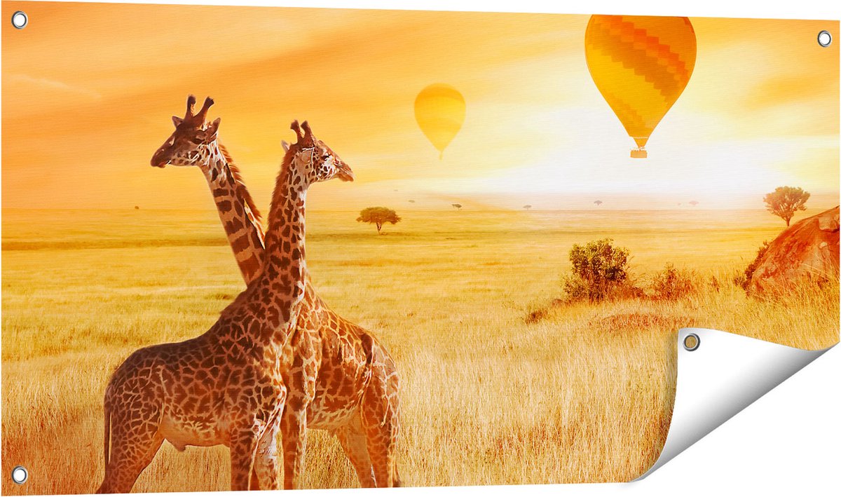 Gards Tuinposter Twee Giraffen met Twee Oranje Luchtballonnen - 100x50 cm - Tuindoek - Tuindecoratie - Wanddecoratie buiten - Tuinschilderij Multikleur